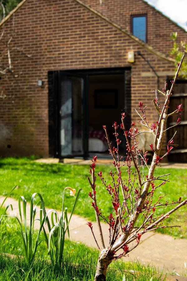 The Mills Guesthouse Гатфілд Екстер'єр фото